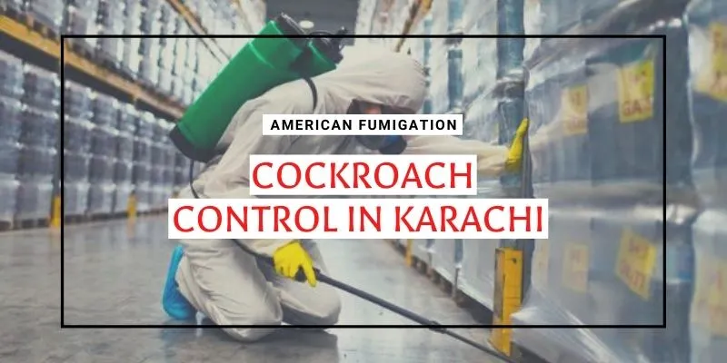 Cockroach Control in Karachi