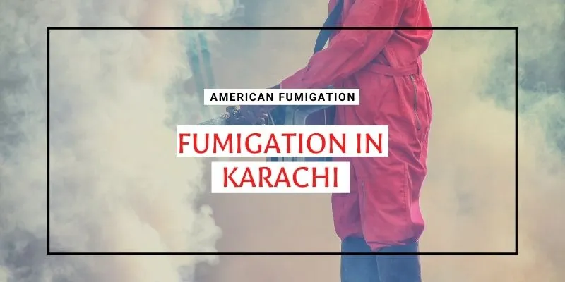Fumigation in Karachi