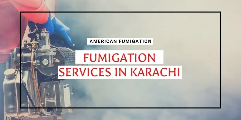 Fumigation Services in Karachi