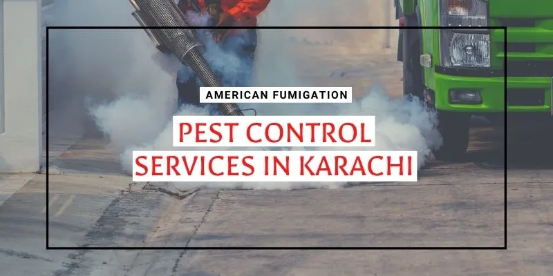 Pest Control Services in Karachi