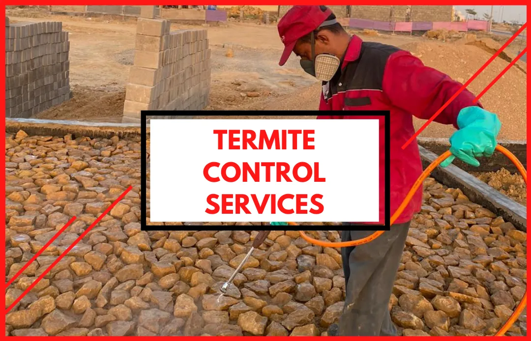 Termite Control